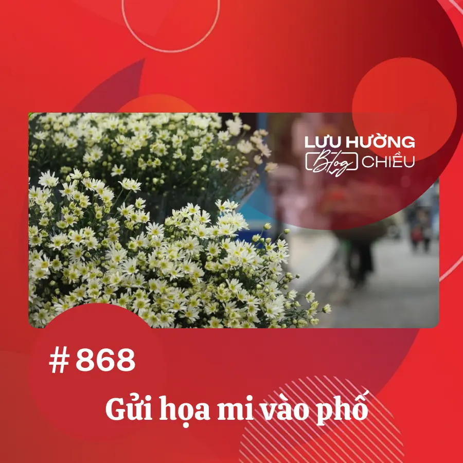 Gửi họa mi vào phố